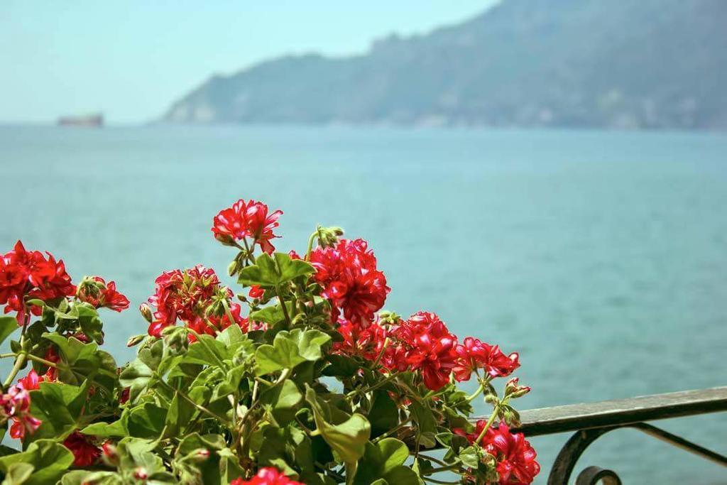 B&B Fronte Del Mare Салерно Экстерьер фото